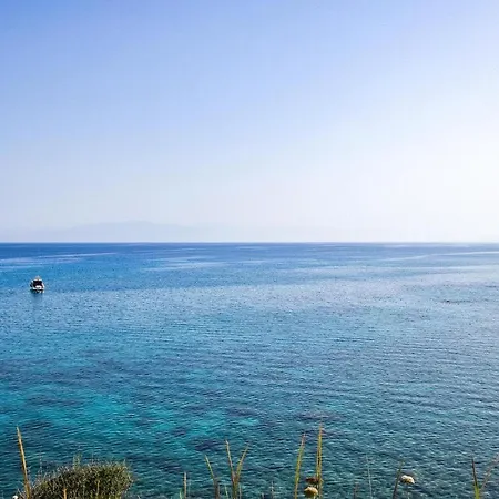 1 Bedroom Amazing In Apartment