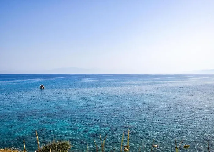 1 Bedroom Amazing In Apartamento